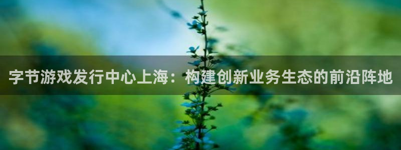 江苏im电竞智得新材料有限公司：字节游戏发行中心上海：构建创新业务生态的前沿阵地