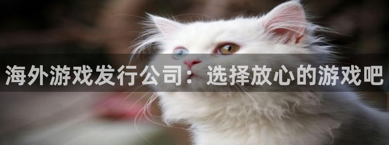 im电竞电子科技：海外游戏发行公司：选择放心的游戏吧
