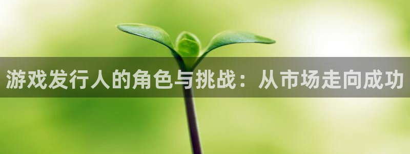 im电竞球队：游戏发行人的角色与挑战：从市场走向成功