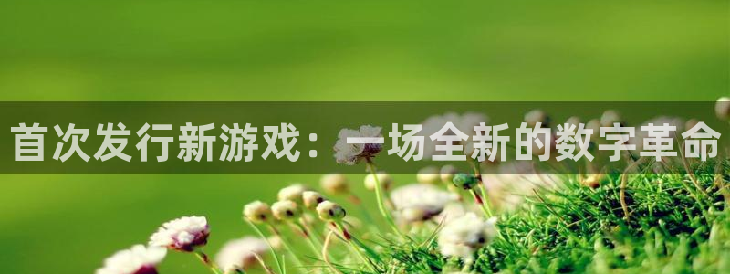 广东im电竞：首次发行新游戏：一场全新的数字革命