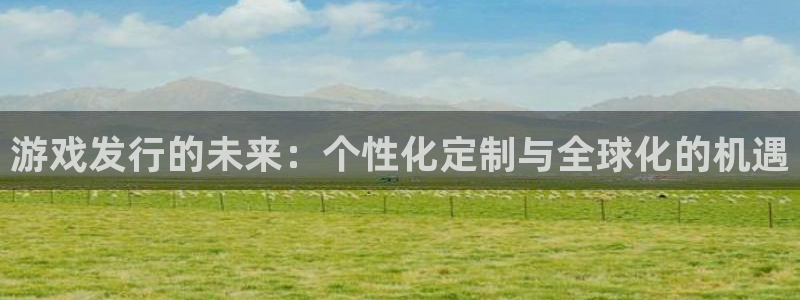 im电竞图片：游戏发行的未来：个性化定制与全球化的机遇