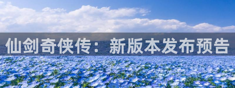 im电竞电商怎么样