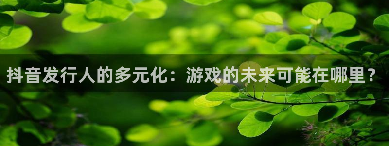 im电竞平台登录入口官网：抖音发行人的多元化：游戏的未来可能在哪里？