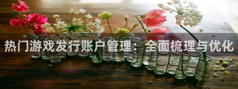 im电竞子教育科技(江门)有限公司：热门游戏发行账户管理：全面梳理与优化