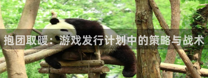 im电竞干红葡萄酒750毫升多少钱：抱团取暖：游戏发行计划中的策略与战术