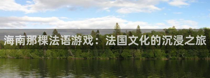 im电竞官网平台注册账号注意事项：海南那棵法语游戏：法国文化的沉浸之旅
