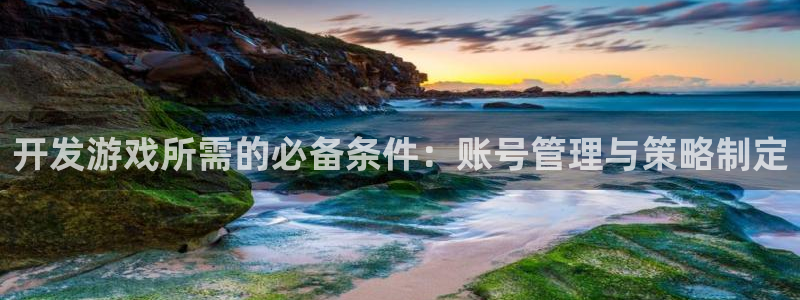 广东im电竞电子商务有限公司电话