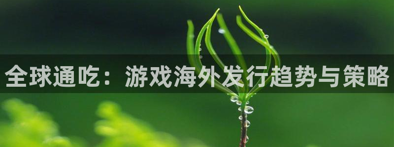 im电竞图片：全球通吃：游戏海外发行趋势与策略