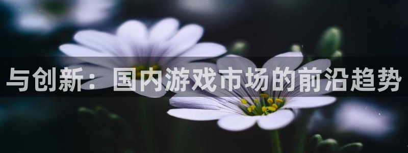 im电竞电子科技怎么样：与创新：国内游戏市场的前沿趋势