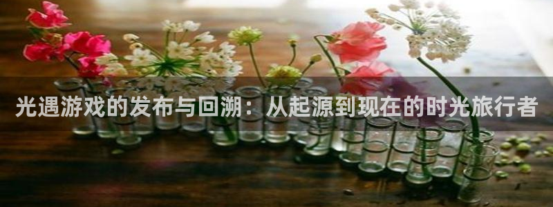 im电竞集团