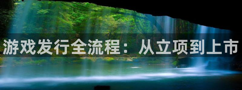 im电竞子市值