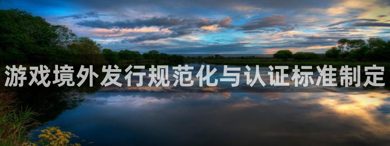 im电竞的寓意
