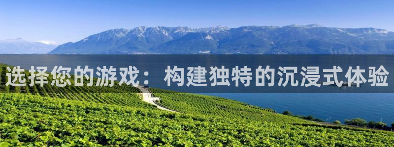陕西im电竞子文化创意干啥的