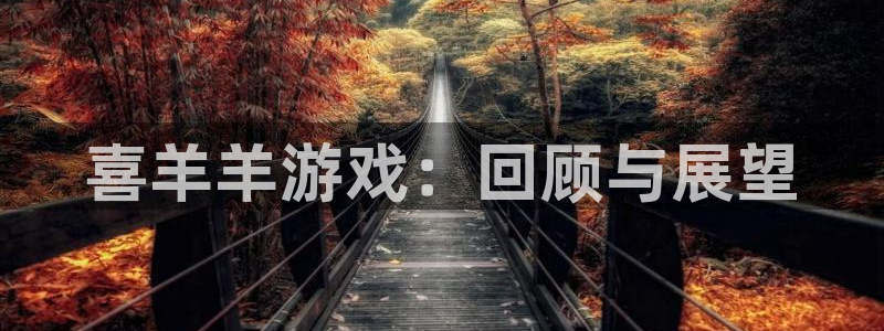 im电竞官网登录注册账号失败：喜羊羊游戏：回顾与展望