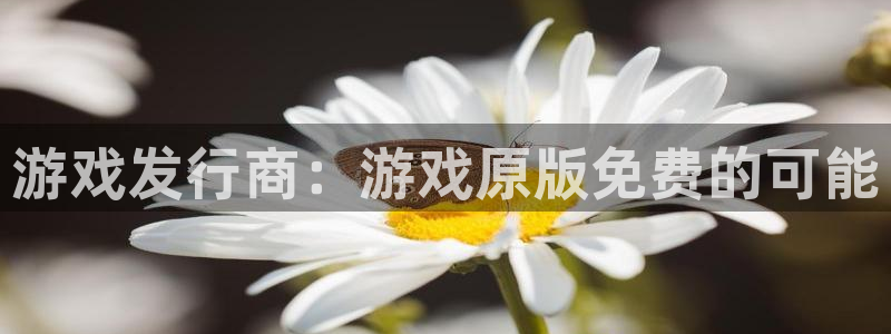 陕西im电竞子文化创意有限公司有什么游戏：游戏发行商：游戏原版免费的可能