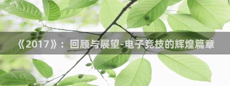 陕西im电竞子文化公司加我qq