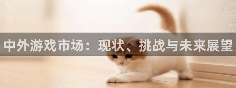 深圳市im电竞科技有限招聘公司：中外游戏市场：现状、挑战与未来展望