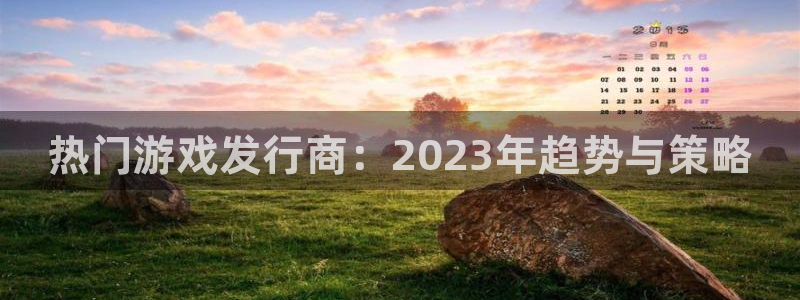 im电竞技术有限公司官网