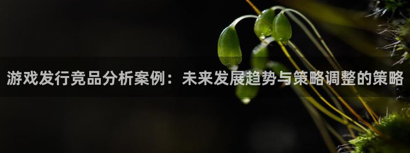 法国im电竞lvnces是奢侈品吗