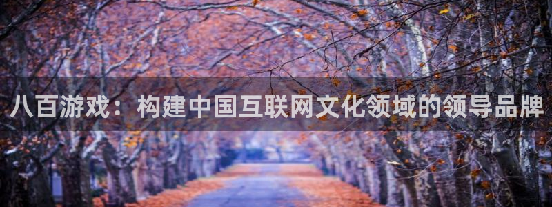 im电竞官网注册登录