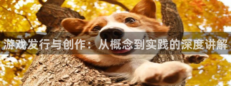 im电竞官网的奇趣腾讯是真的吗知乎